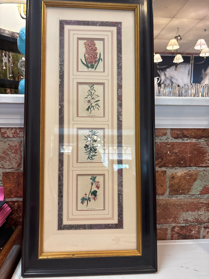 ETHAN ALLEN HOME BOTANICAL PRINT