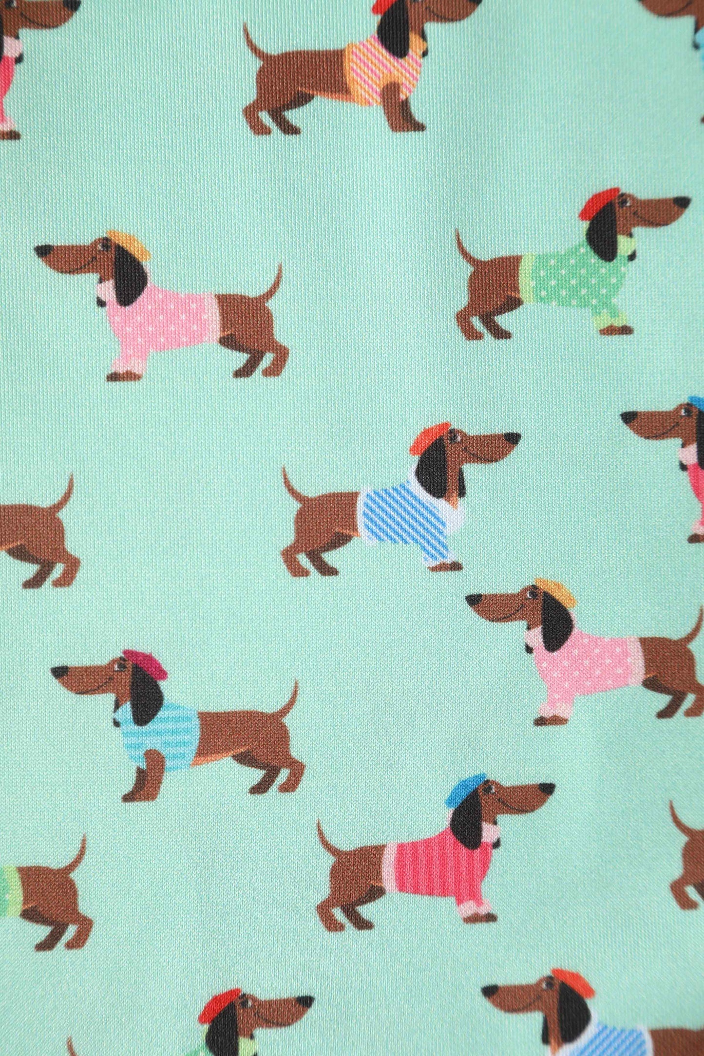 Amanda Picasso Sausage Dog Flared Dress