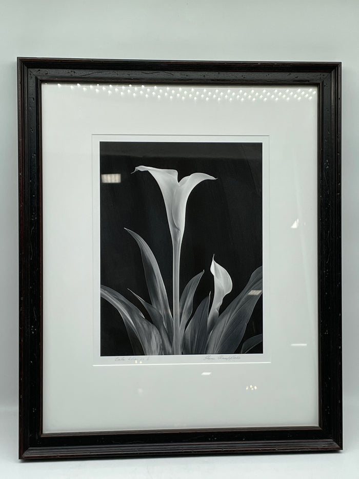 PRINT SET OF 3 BLACK AND WHITE LILIES BLACK FRAME