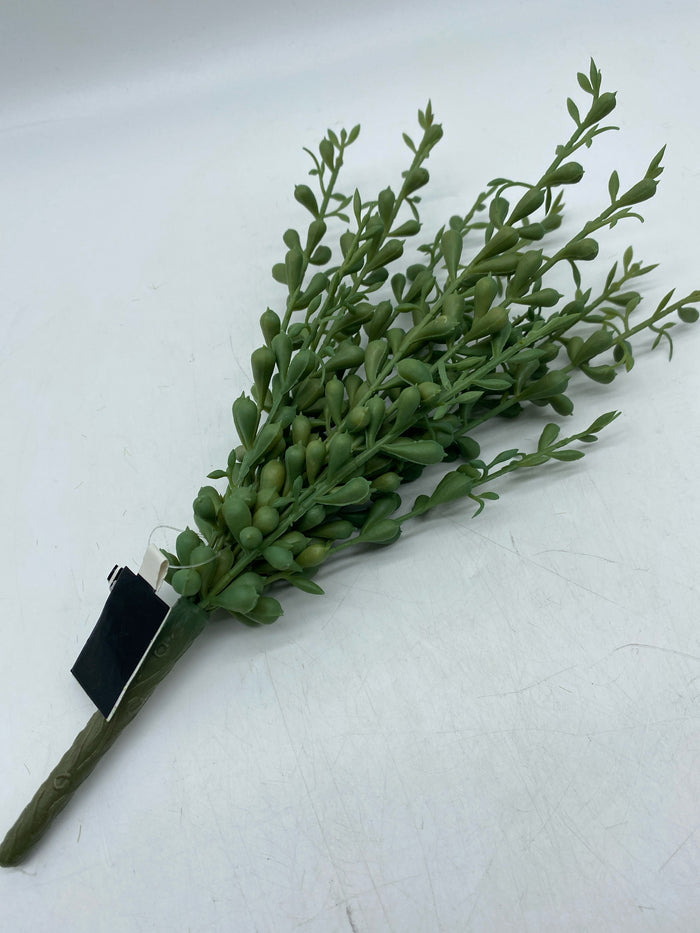 REAL TOUCH PICK BABY TEARS SUCCULENT