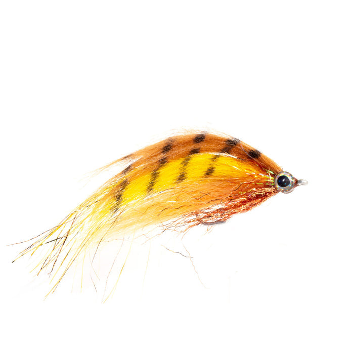 Rio's Flashdance Fire Tiger 2/0