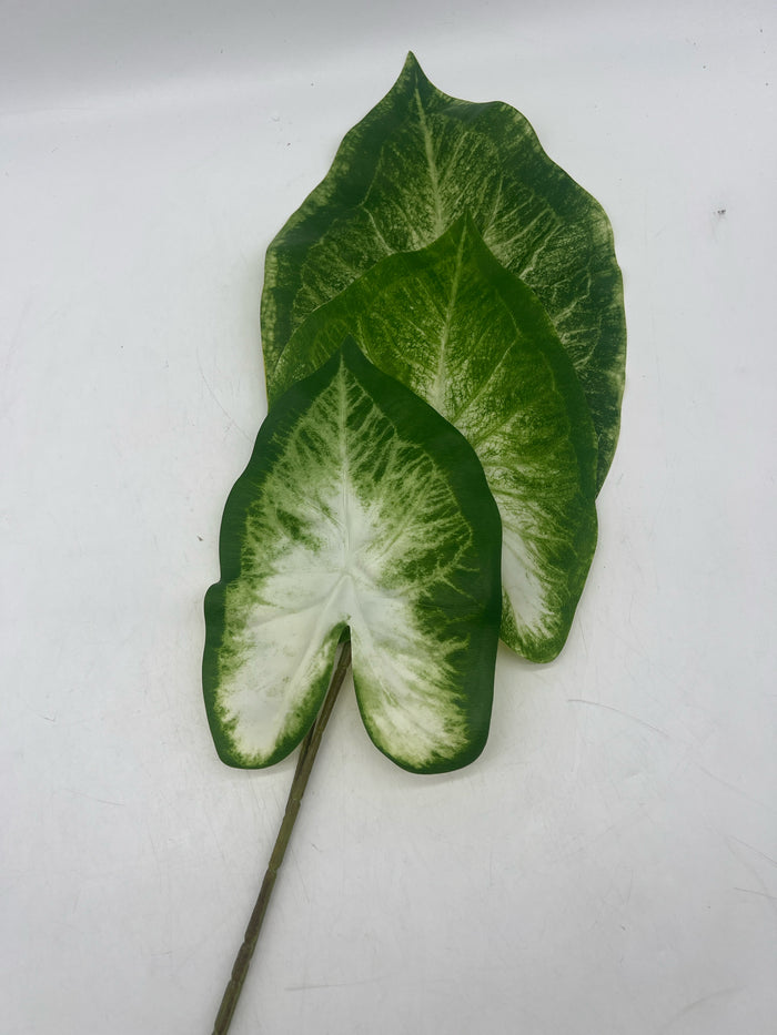 SILK CALADIUM NATURAL TOUCH GREEN AND WHITE