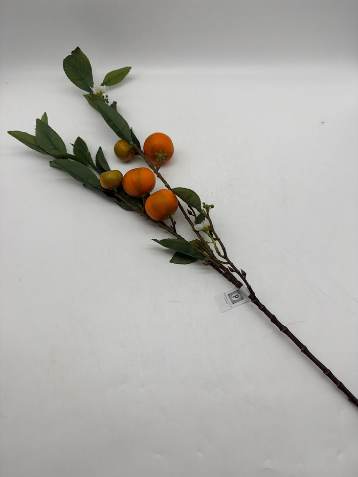 SILK HONEY TANGERINE BRANCH