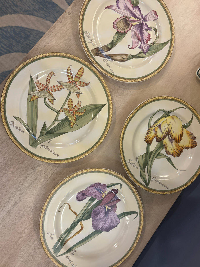 BOTANICAL PLATES BY AMERICAN ATELIER S/4