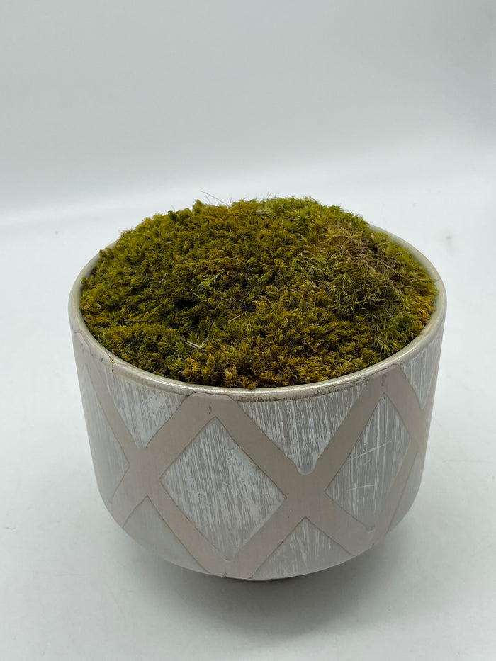 CERAMIC POT WITH MOSS DIAMOND MIRROR GLAZE DESIGN