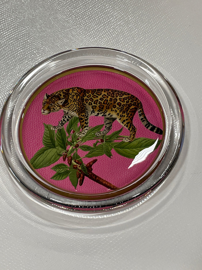 COASTER LEOPARD ON PINK AFRICAN OBSESSION 5"