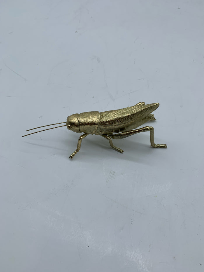 GRASSHOPPER GOLD FINISH