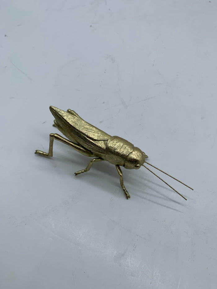 GRASSHOPPER GOLD FINISH