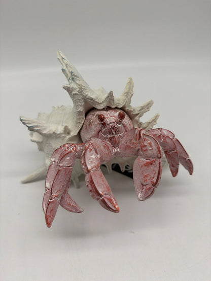 LARGE RED HERMIT CRAB WHITE SHELL