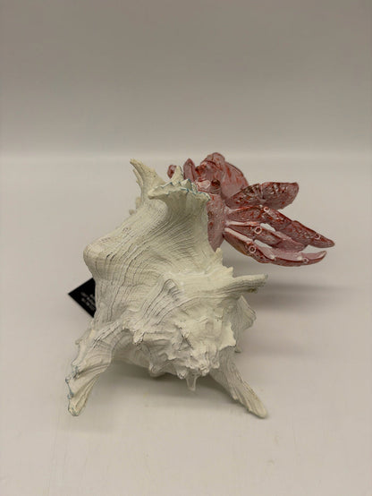 LARGE RED HERMIT CRAB WHITE SHELL