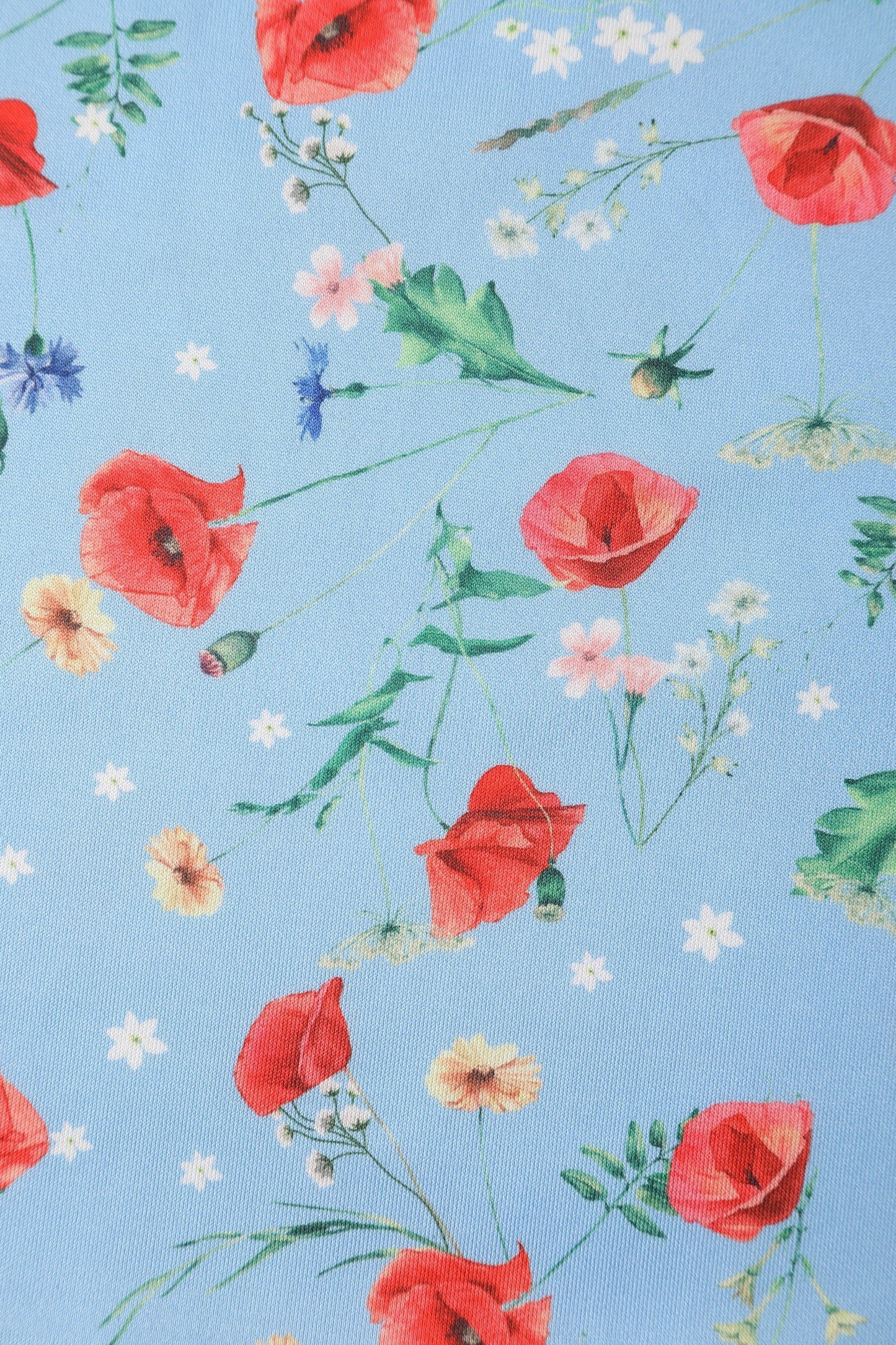 Amanda Light Blue Poppy Swing Dress