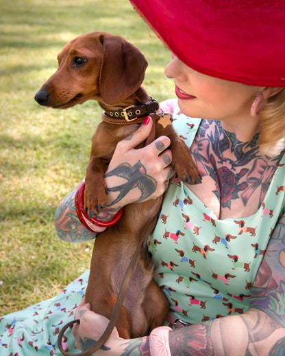 Amanda Picasso Sausage Dog Flared Dress