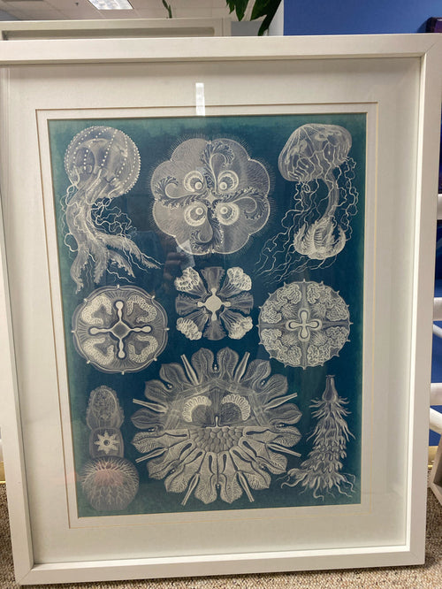 PRINT JELLY FISH WHITE FRAME