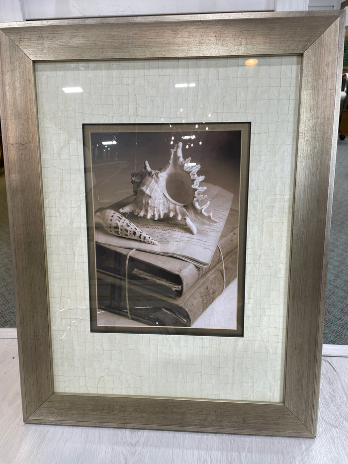 PRINT OF SHELLS & BOOKS