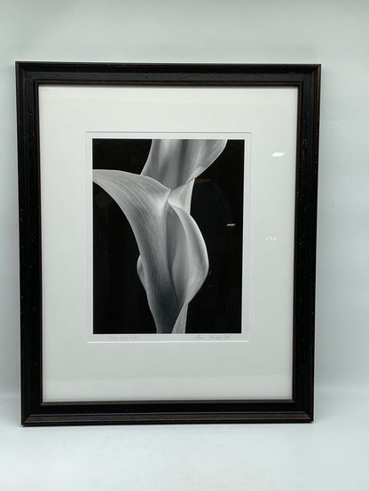 PRINT SET OF 3 BLACK AND WHITE LILIES  BLACK FRAME