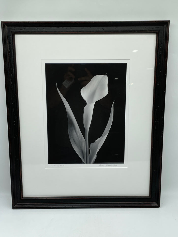 PRINT SET OF 3 BLACK AND WHITE LILIES  BLACK FRAME