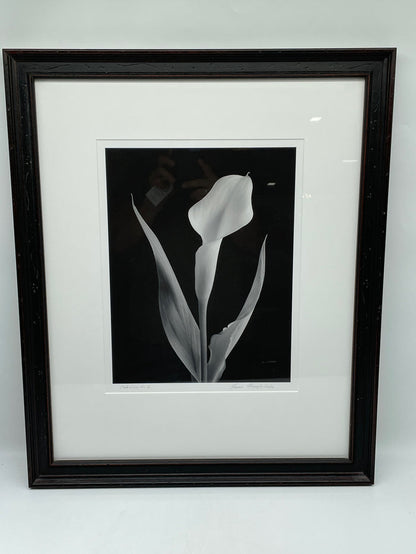 PRINT SET OF 3 BLACK AND WHITE LILIES  BLACK FRAME