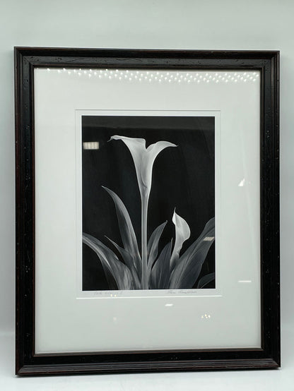 PRINT SET OF 3 BLACK AND WHITE LILIES  BLACK FRAME