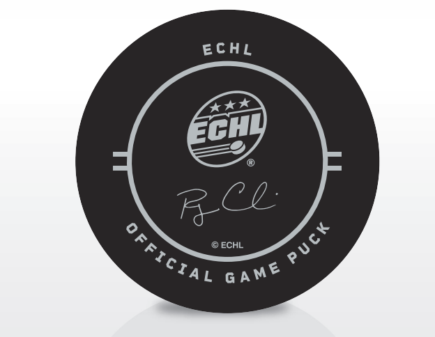 SC Stingrays 2026-27 Game Puck