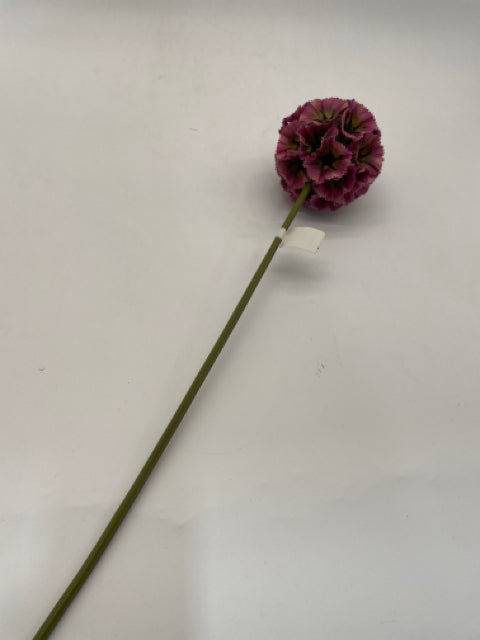 SCABIOSA POD STEM DARK PURPLE 22"
