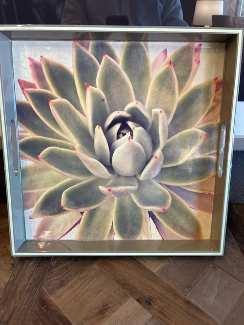 SERVING TRAY SUCCULENT MOTIF