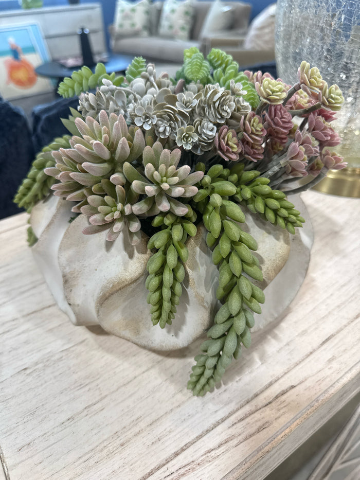 SUCCULENT ARRANGEMENT