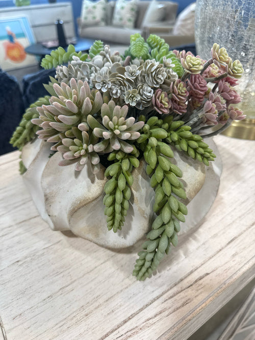 SUCCULENT ARRANGEMENT