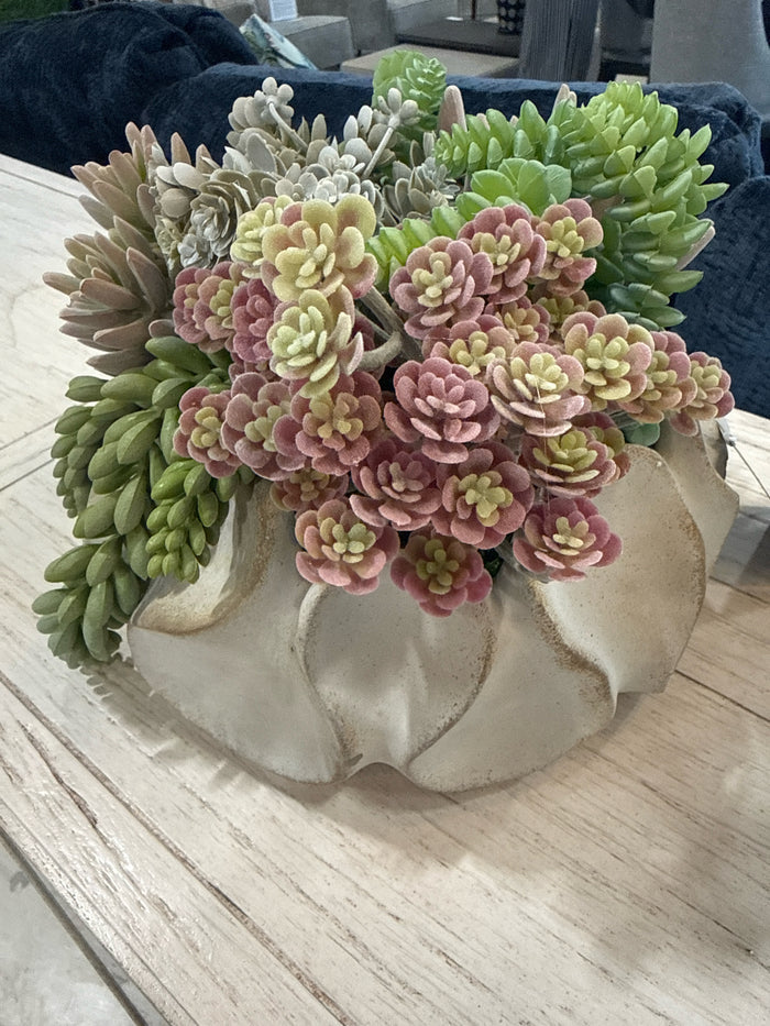 SUCCULENT ARRANGEMENT