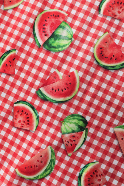 Mabel Watermelon Gingham Midi Shirt Dress