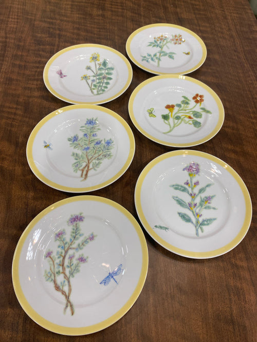WILLIAM SONOMA SET OF 5  PLATES BUTTERFLY DETAIL